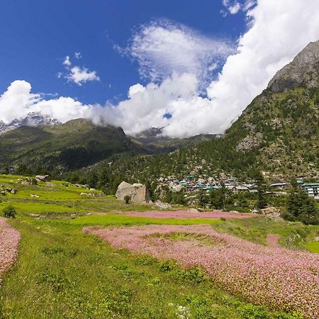 Zostel Homes Rakchham Saturang Dış mekan fotoğraf