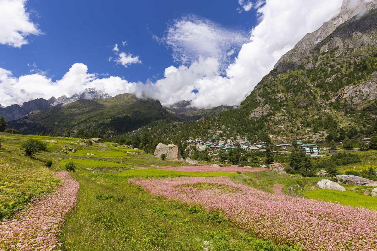 Zostel Homes Rakchham Saturang Dış mekan fotoğraf