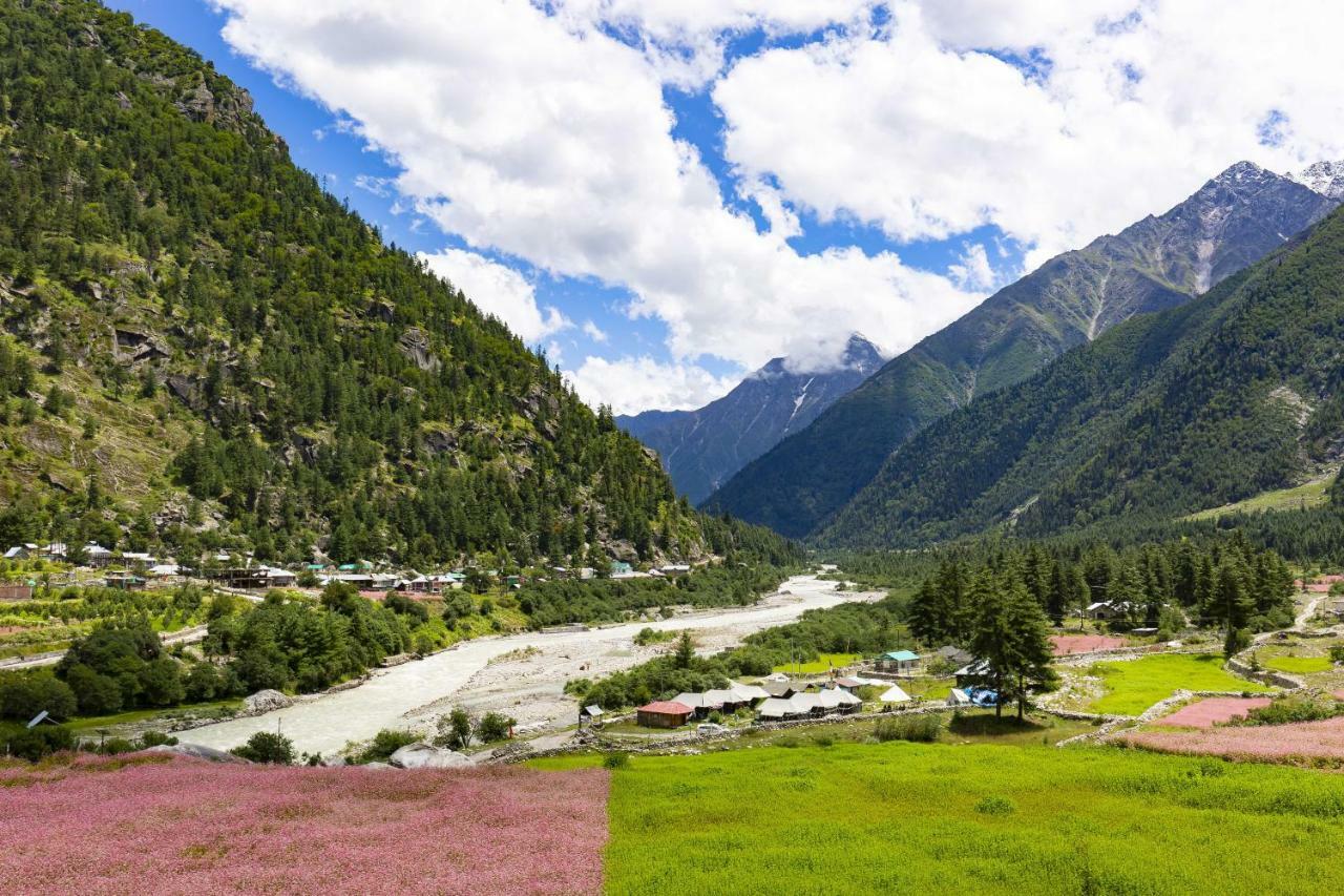 Zostel Homes Rakchham Saturang Dış mekan fotoğraf